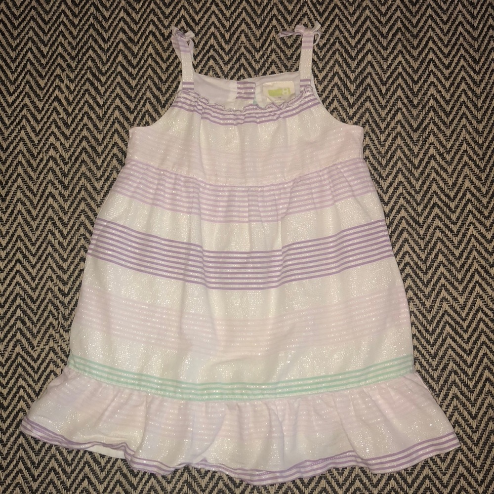 ☔️💜Crazy 8 toddler dress💜